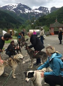 Sled Dogs